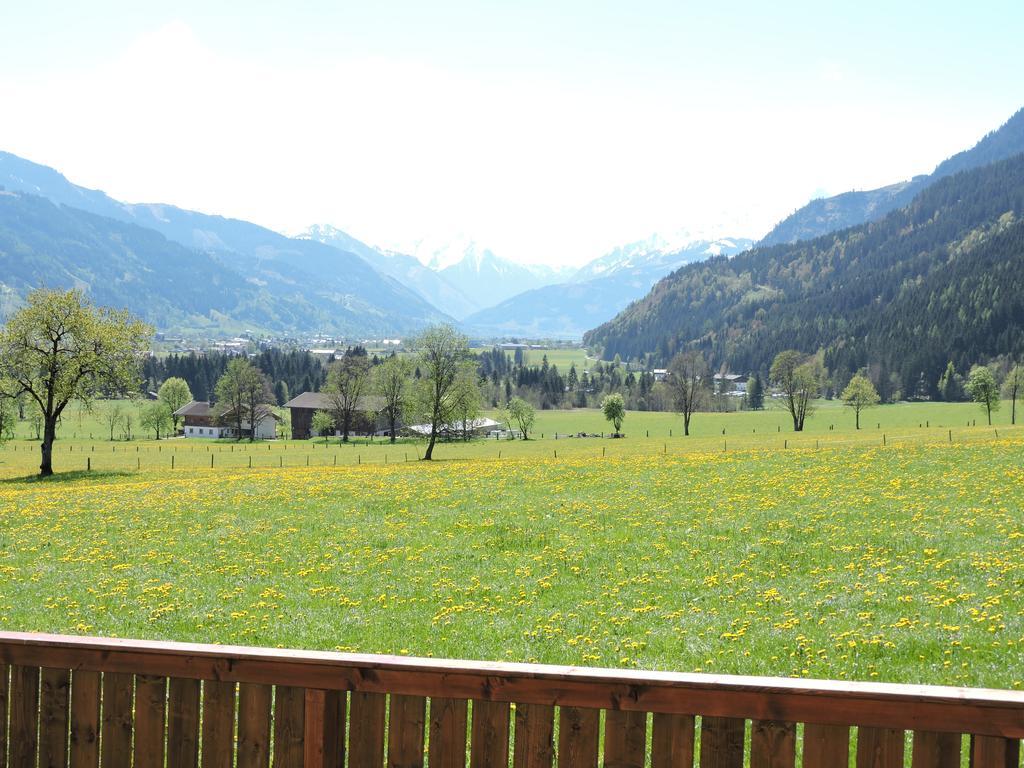 Haus Moesenlechner Daire Maishofen Dış mekan fotoğraf